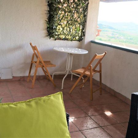 Apartments Garden Motovun Cameră foto