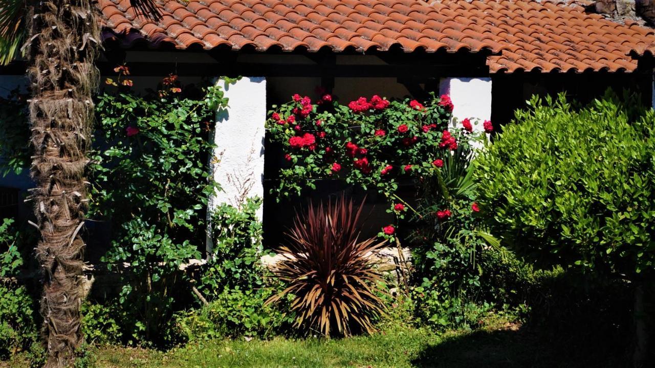 Apartments Garden Motovun Exterior foto